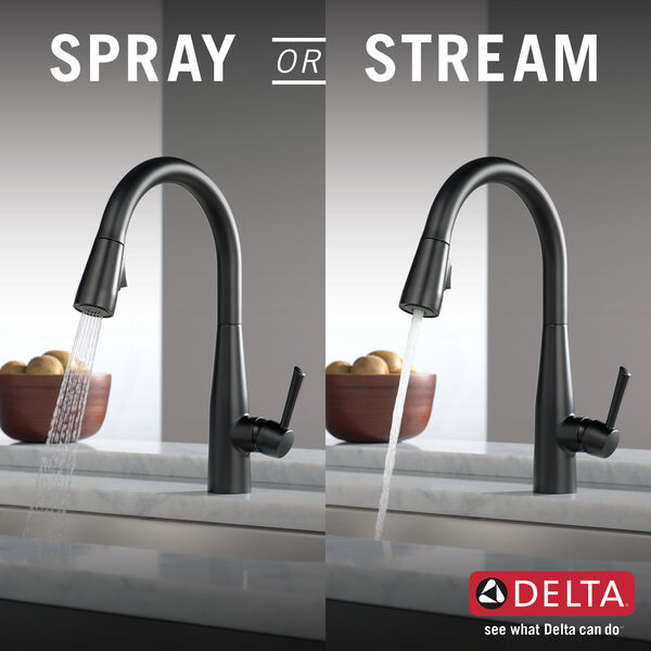 Details about   DELTA Essa Single-Handle Pull-Down Sprayer Kitchen Faucet